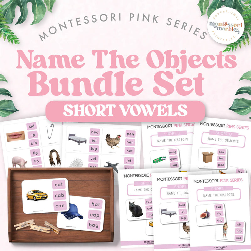 Pink Series name-the-objects clip cards for CVC vocabulary — ages 3-6
