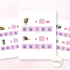 Montessori Pink Series Missing Vowels SHORT A