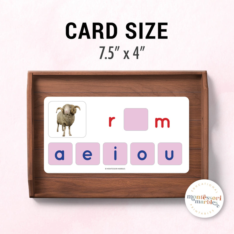 Montessori Pink Series Missing Vowels SHORT A