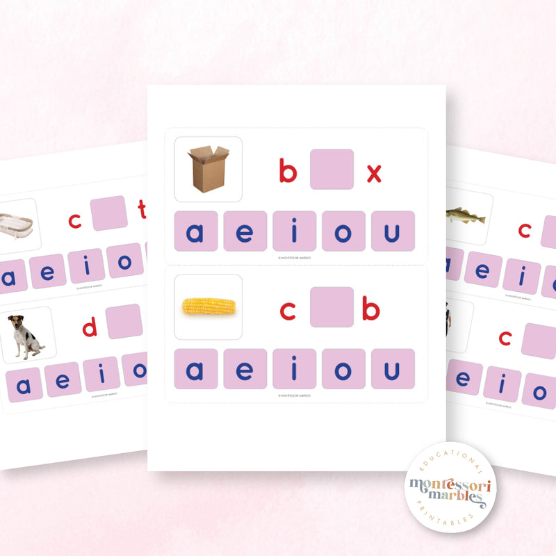 Montessori Pink Series Missing Vowels SHORT O