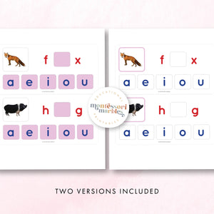 Montessori Pink Series Missing Vowels SHORT O