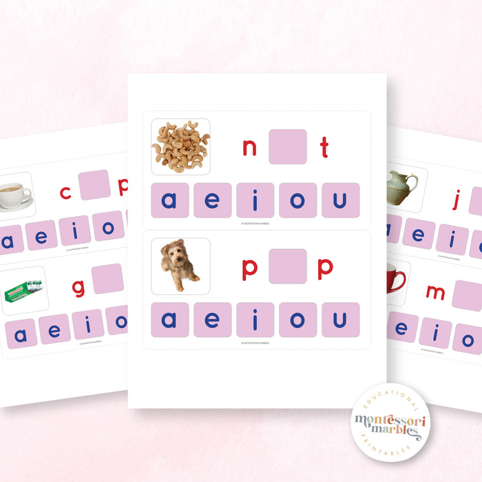Montessori Pink Series Missing Vowels Bundle