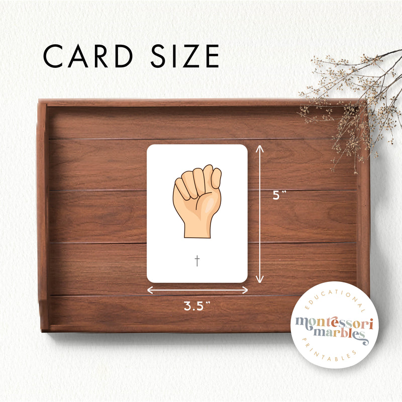 American Sign Language 3-Part Cards