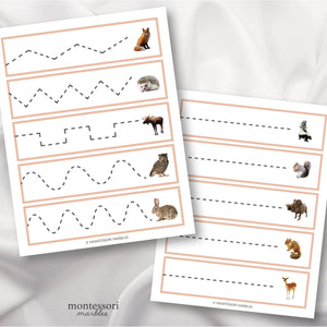 Woodland Animals Mini Bundle