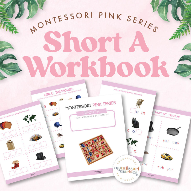 Pink Series workbook with short A sound CVC words