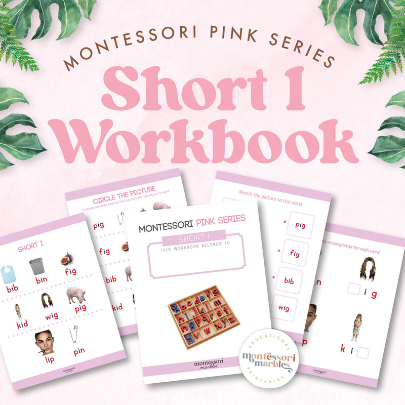Pink Series workbook with short I sound CVC words