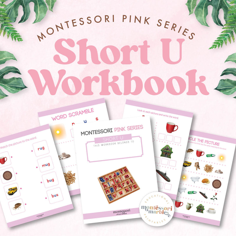 Pink Series workbook with short U sound CVC words