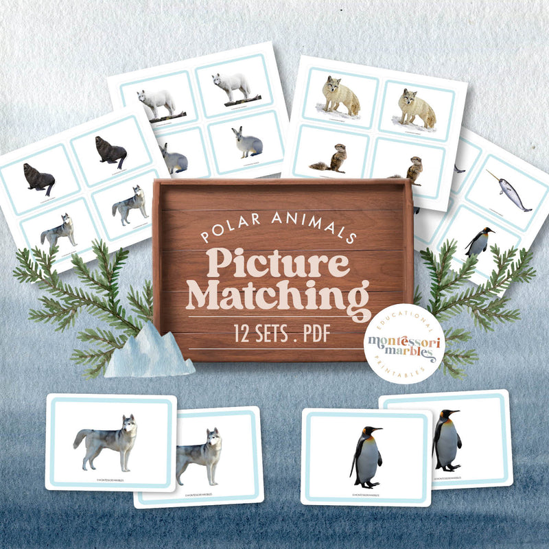 Polar animal picture cards for winter exploration — ages 3-6