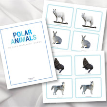 Load image into Gallery viewer, Polar Animals Picture Cards
