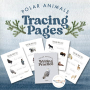 Arctic animal vocabulary and word tracing practice