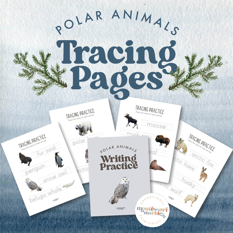 Arctic animal vocabulary and word tracing practice