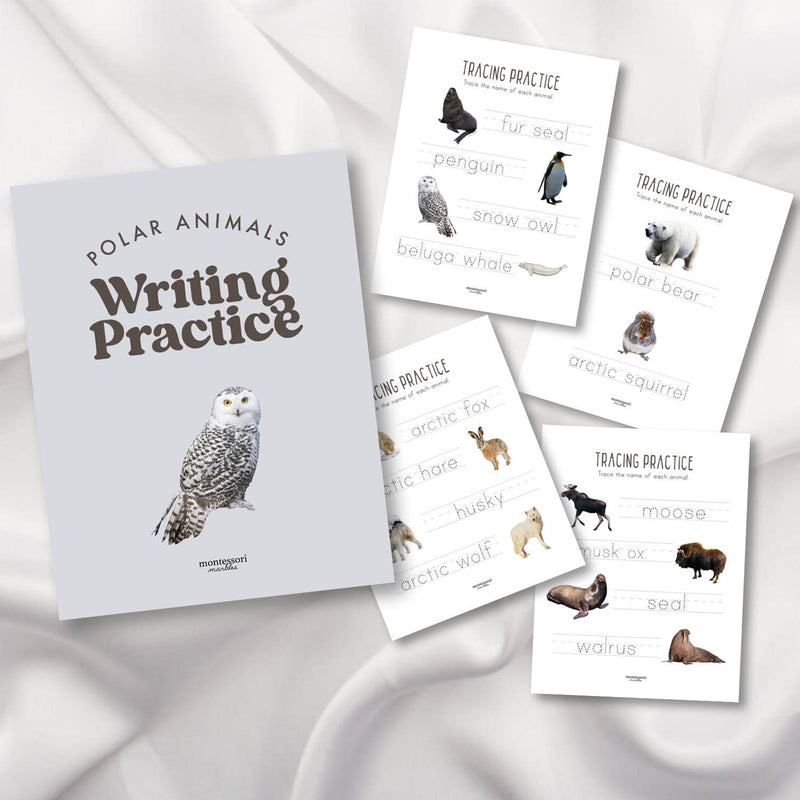 Polar Animals Tracing Practice