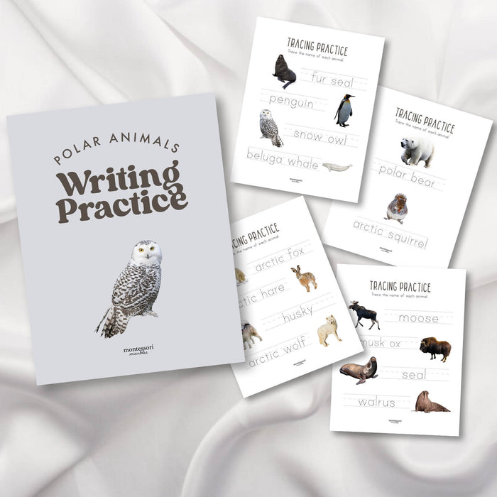 Polar Animals Tracing Practice