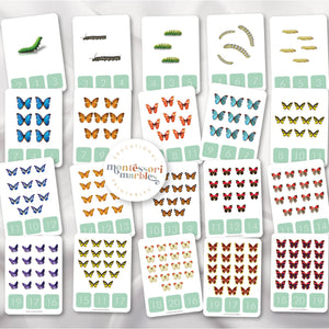Butterfly Counting 1 to 20