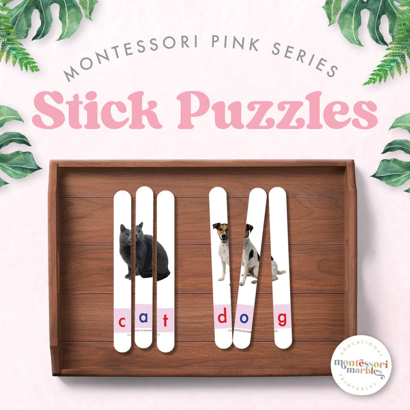 Pink Series craft stick puzzles with 60 CVC words for hands-on phonics