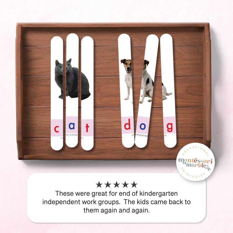 Montessori Pink Series CVC Craft Stick Puzzles – 60 Words