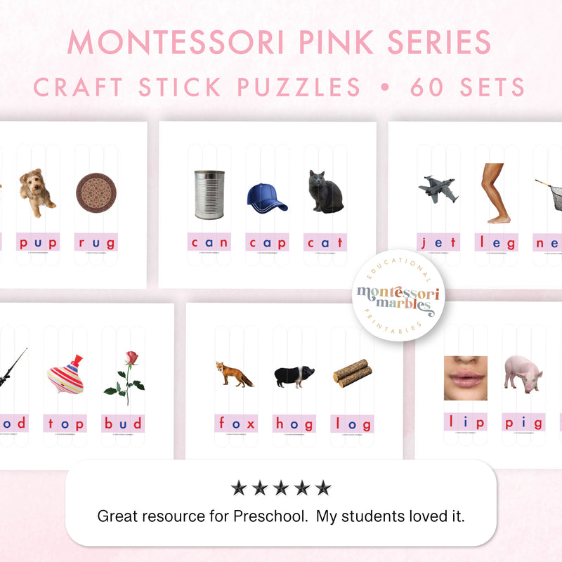 Montessori Pink Series CVC Craft Stick Puzzles – 60 Words