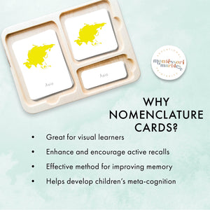 Continents Montessori Nomenclature Cards | Cursive