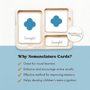 Geometric Shapes Nomenclature Cards (Cursive)