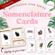 Pink Series cursive nomenclature cards with CVC words — ages 3-6