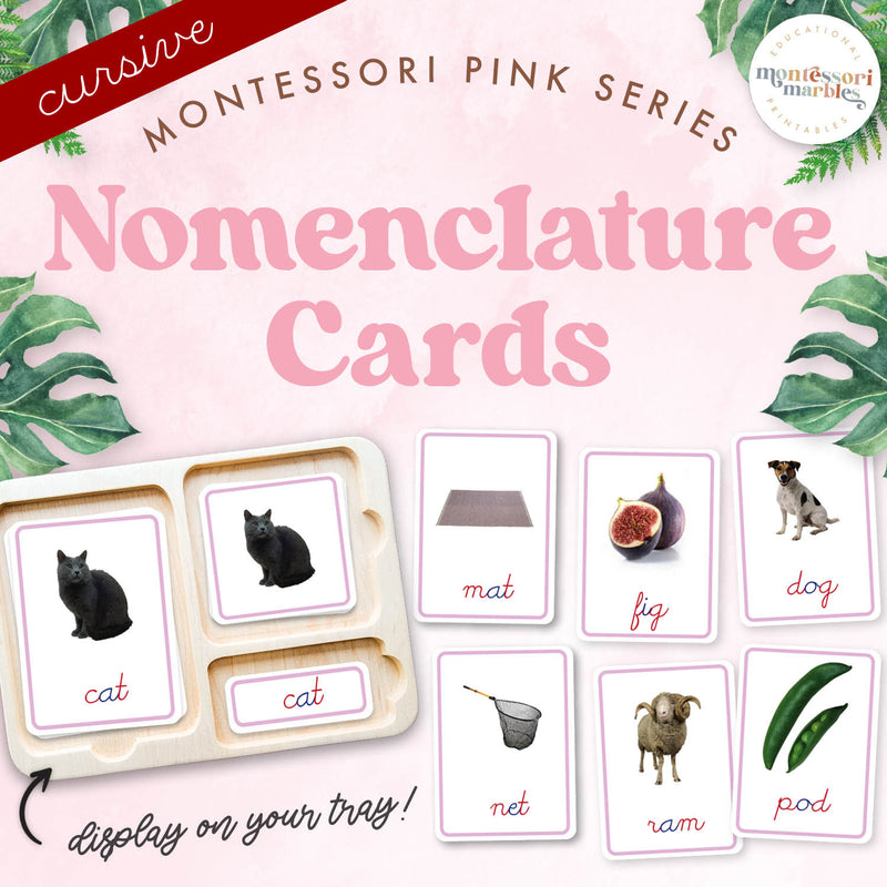 Pink Series cursive nomenclature cards with CVC words — ages 3-6