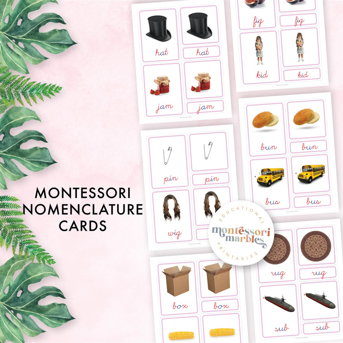 Montessori Pink Series Cursive Nomenclature Cards