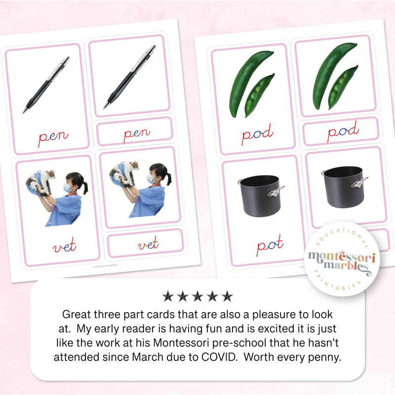 Montessori Pink Series Cursive Nomenclature Cards