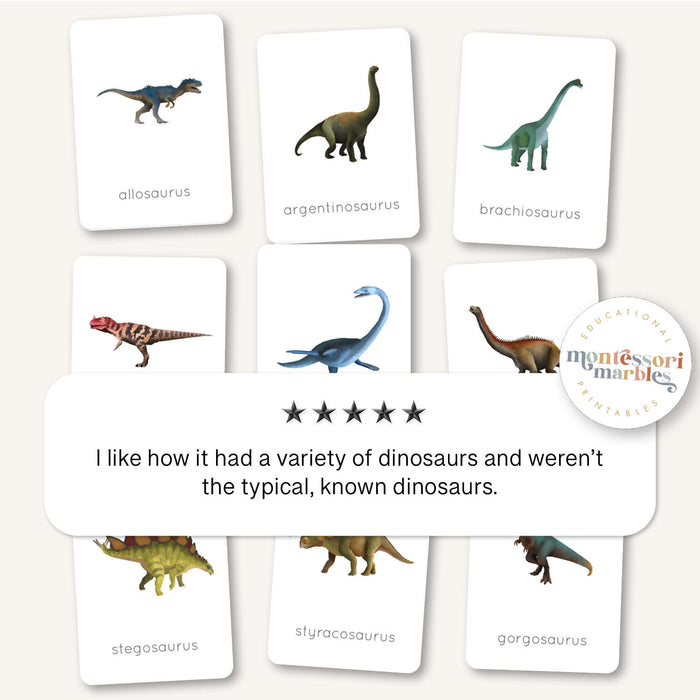 Dinosaur Flash Cards