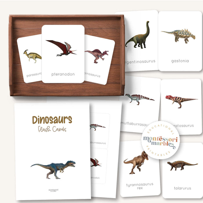 Dinosaur Flash Cards