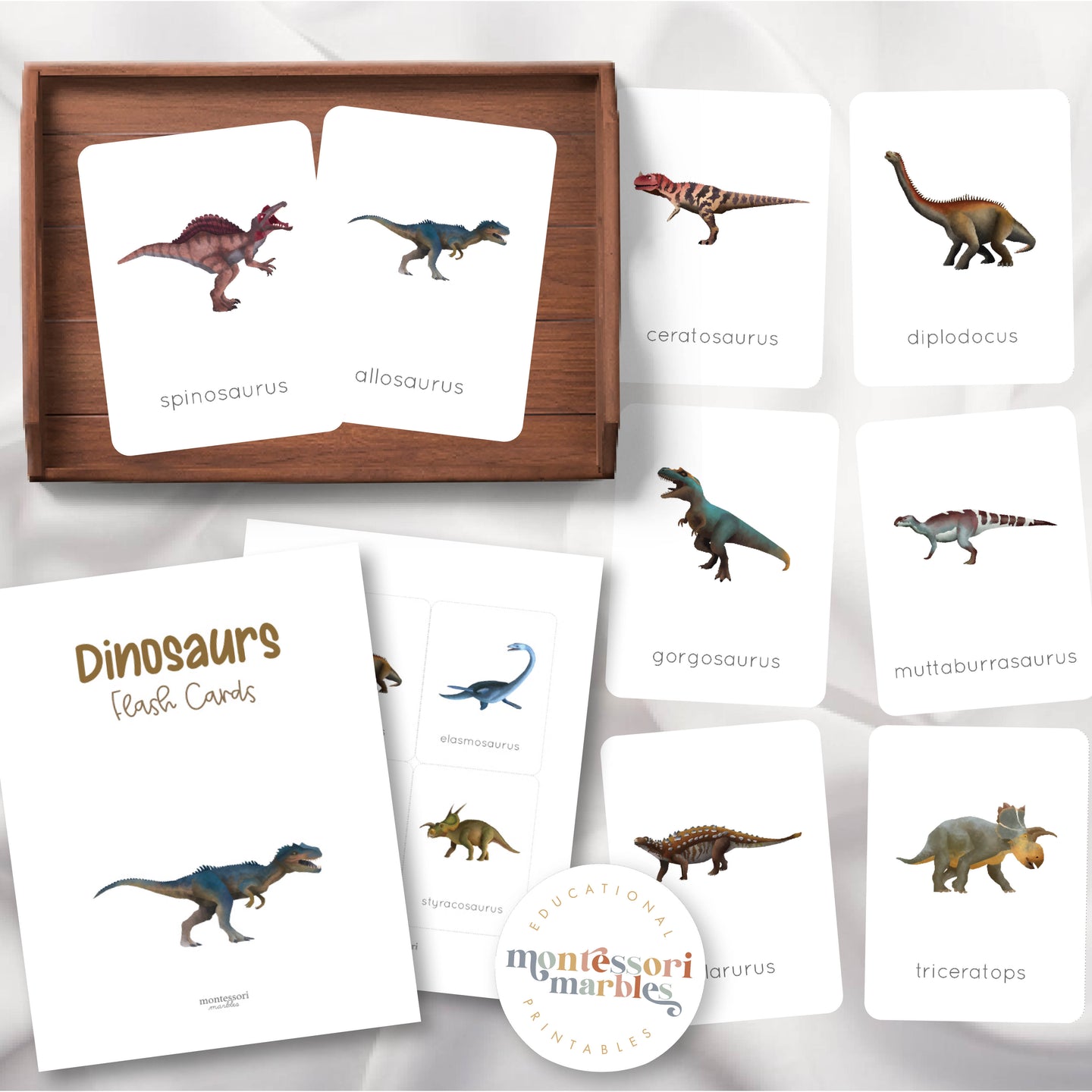 Dinosaur Flash Cards