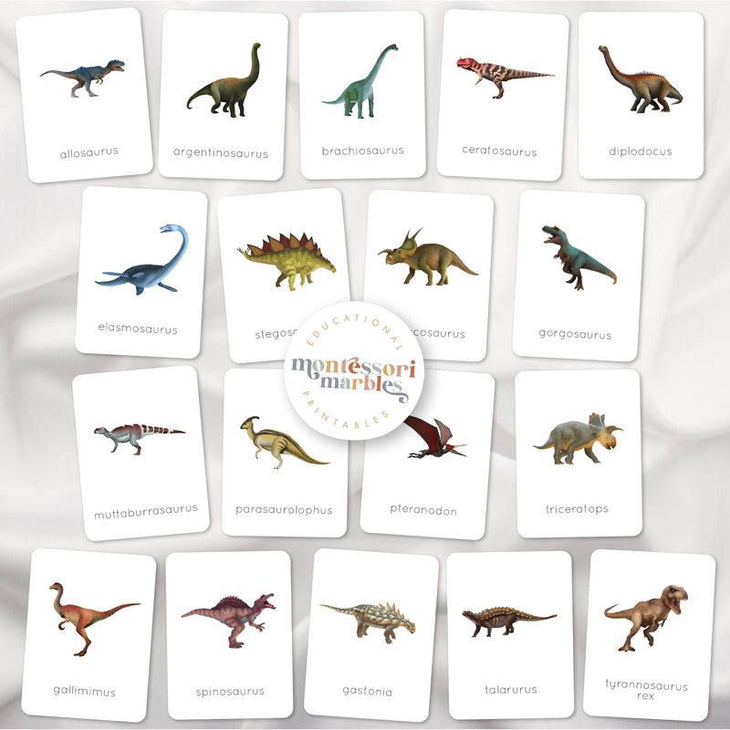 Dinosaurs Mini Bundle
