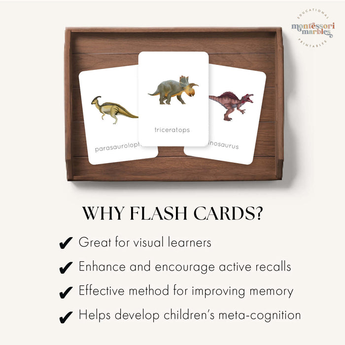 Dinosaur Flash Cards