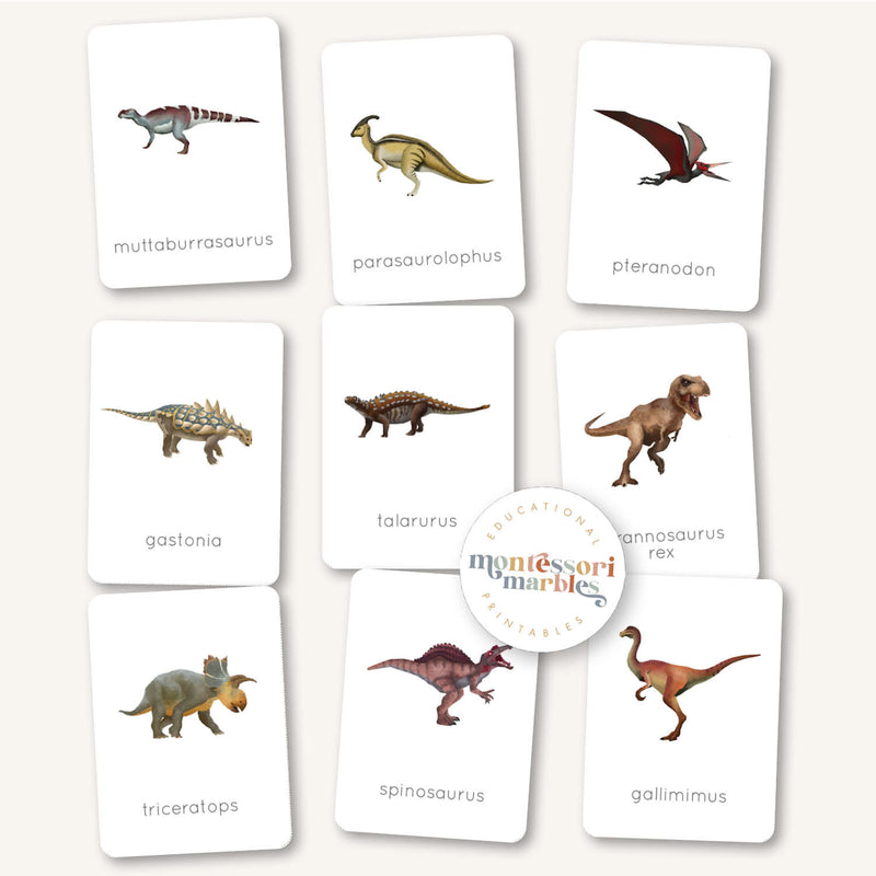 Dinosaur Flash Cards