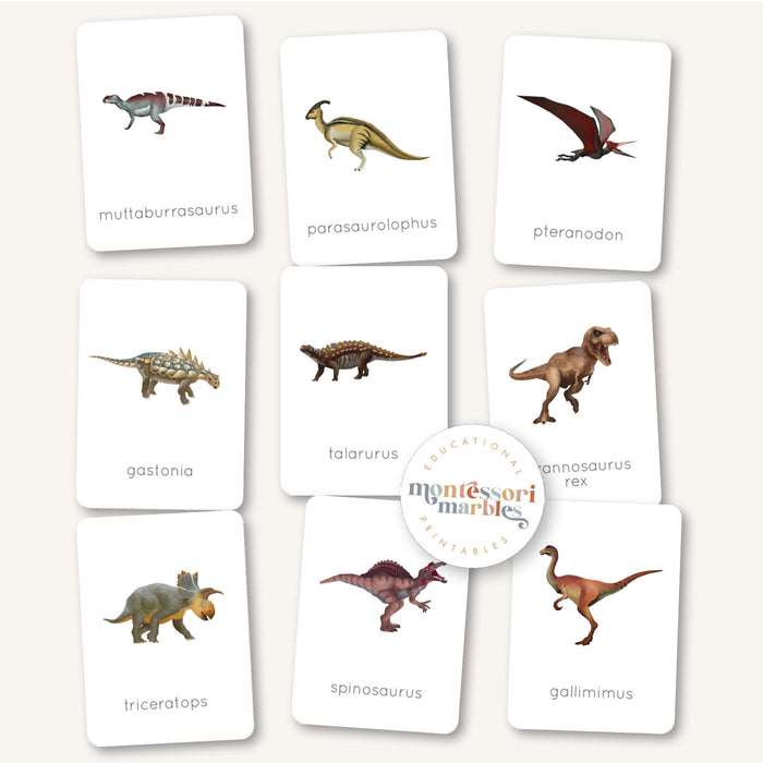 Dinosaur Flash Cards