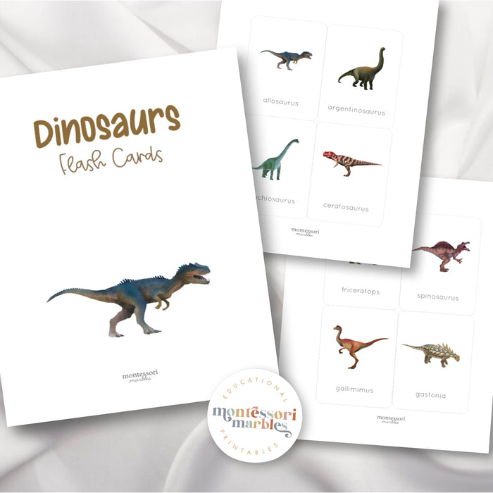 Dinosaur Flash Cards