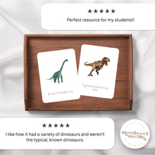 Load image into Gallery viewer, Dinosaur Flash Cards
