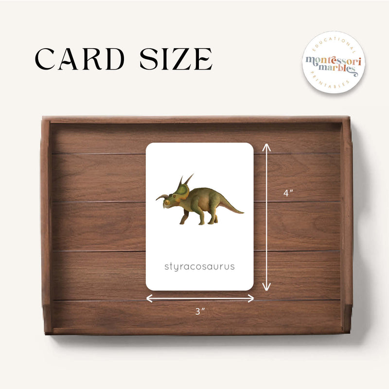 Dinosaur Flash Cards