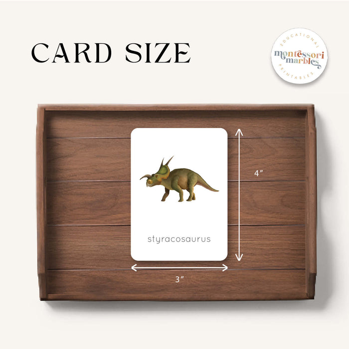 Dinosaur Flash Cards