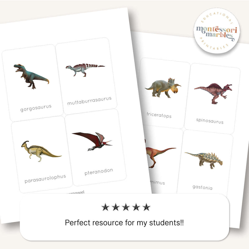 Dinosaur Flash Cards