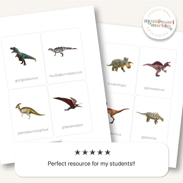 Dinosaur Flash Cards