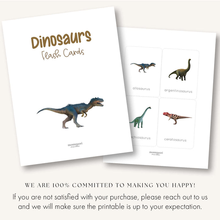 Dinosaur Flash Cards