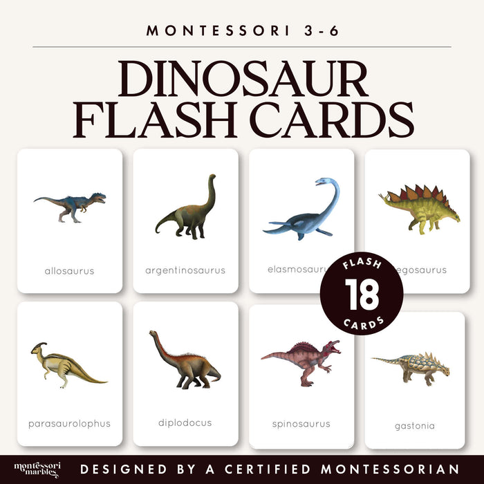 Dinosaur Flash Cards