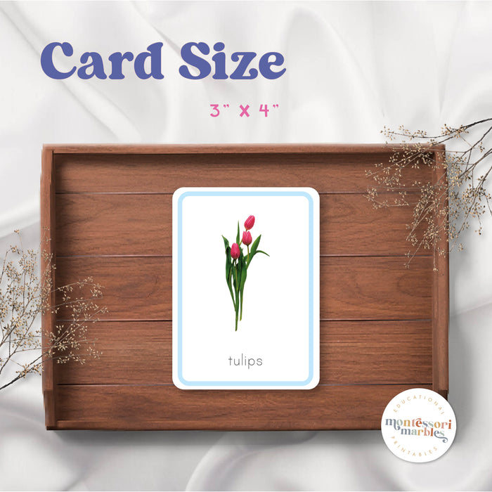 Easter Flash Cards
