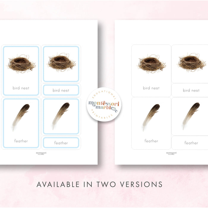 Easter Montessori Nomenclature Cards