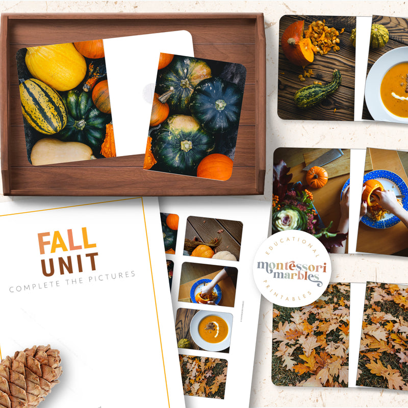 Fall Complete the Pictures