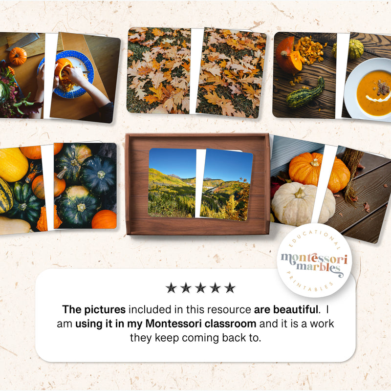 Fall Complete the Pictures