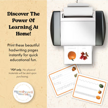 Load image into Gallery viewer, Fall Tracing Activities
