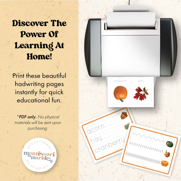 Fall Tracing Activities