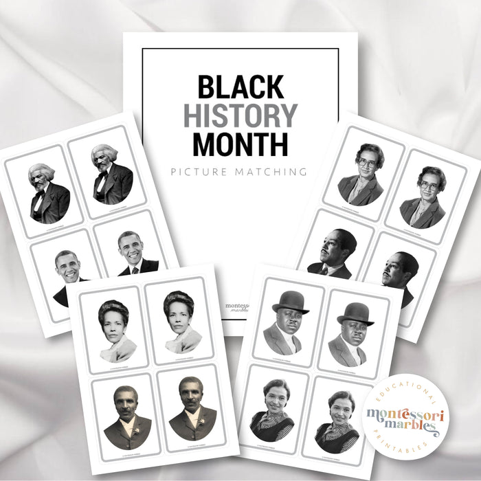Black History Month Picture Matching