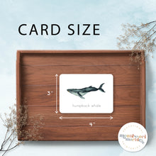 Load image into Gallery viewer, Whales Flash Cards
